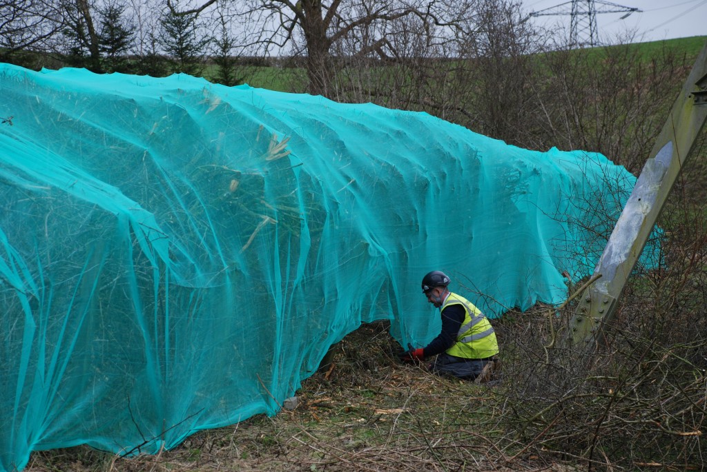 Hedgerow Netting EnviroGuard