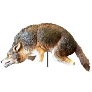 3-D Coyote Predator Replica
