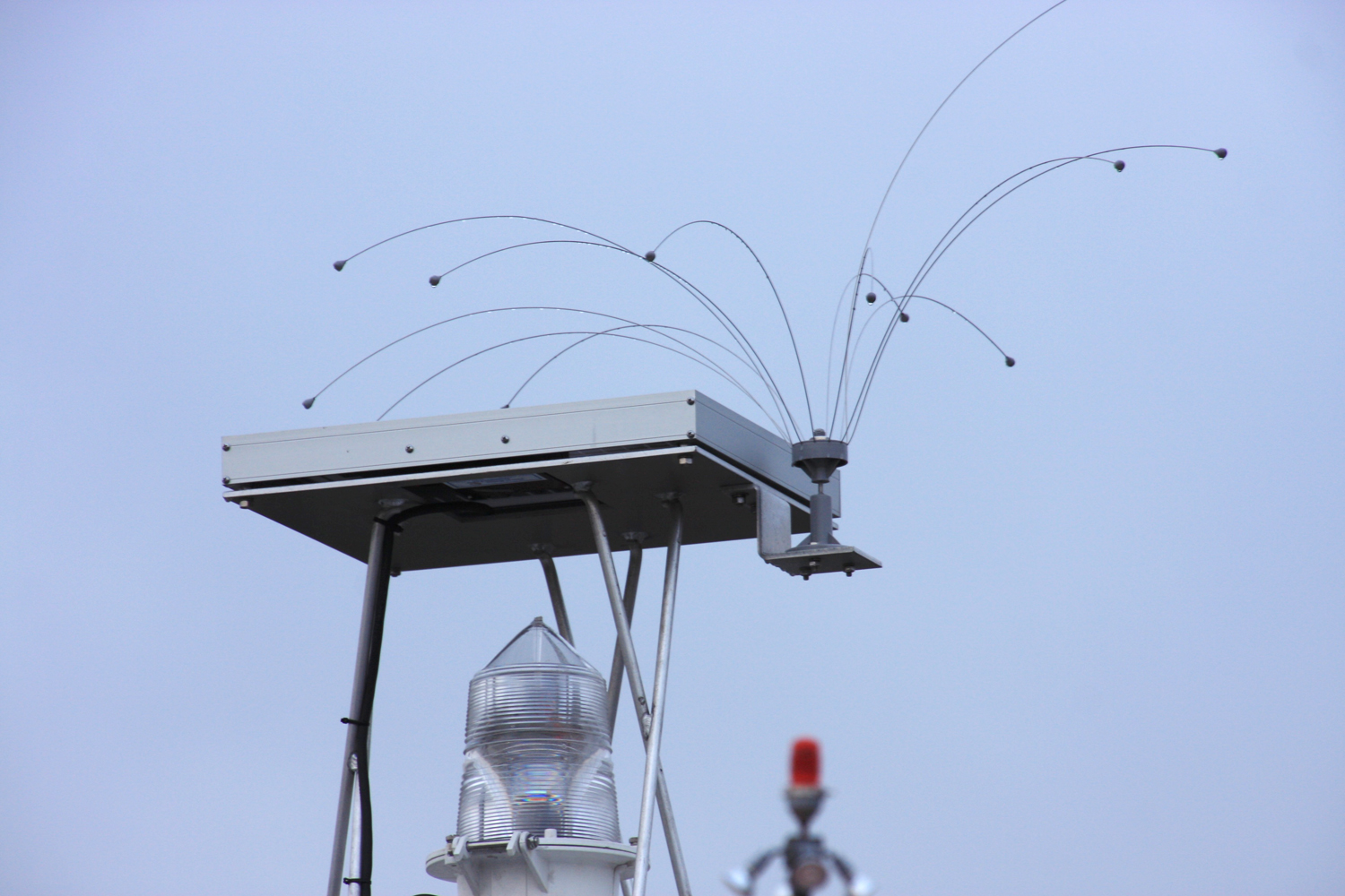 Daddi Long Legs Rotating Bird Spider - 1.25m - EnviroGuard