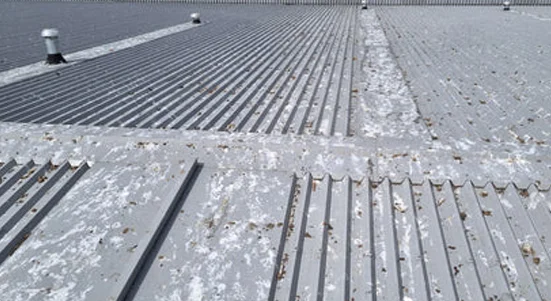 Seagull fouling across a flat commercial roof before clearance