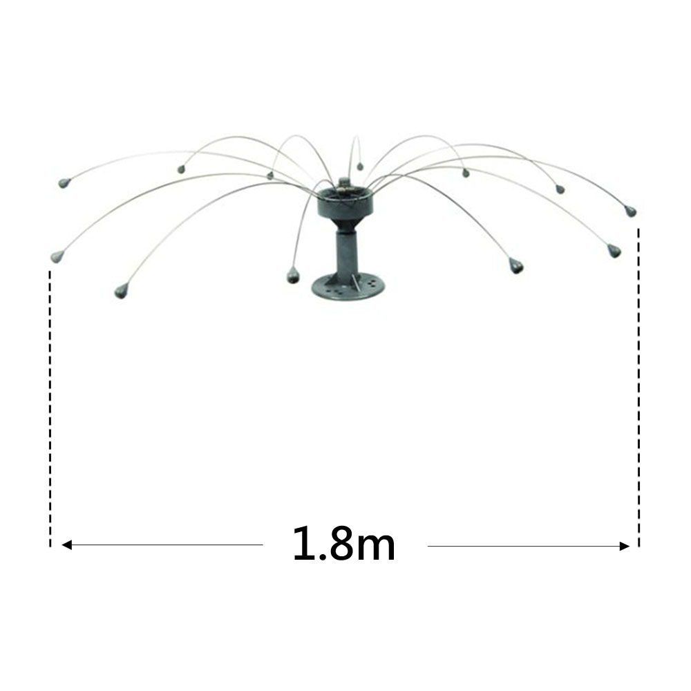 Daddi Long Legs - Rotating Bird Spider - 1.8m