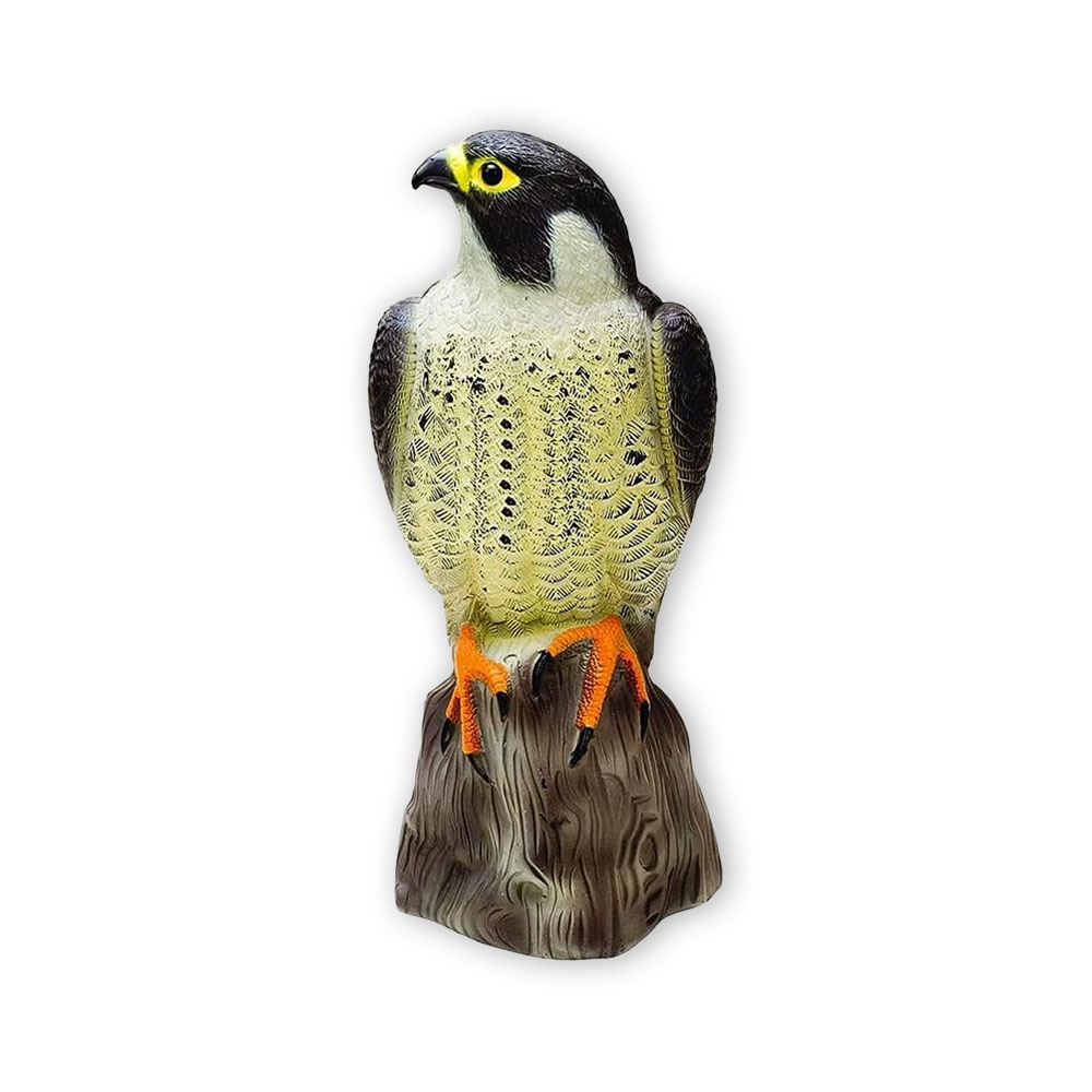 Peregrine Falcon Decoy