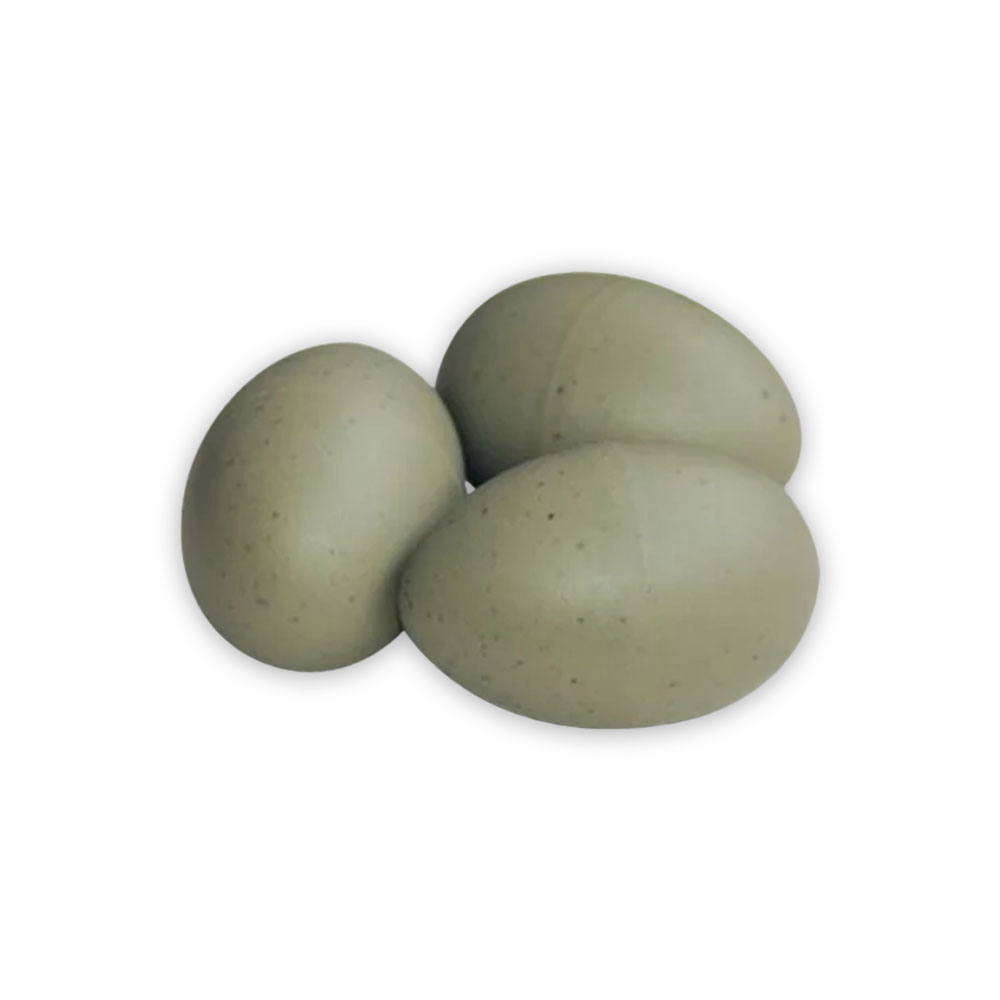 Decoy Herring Gull Eggs EnviroGuard