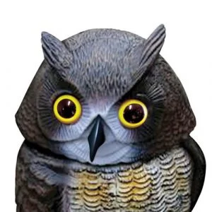 Wind Action Owl Decoy