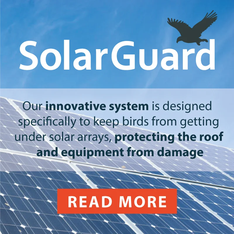 SolarGuard solar panel bird proofing: shop solar panel exclusion products