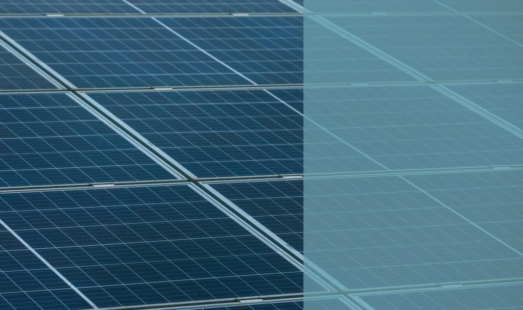 Solar Panel Exclusion EnviroGuard