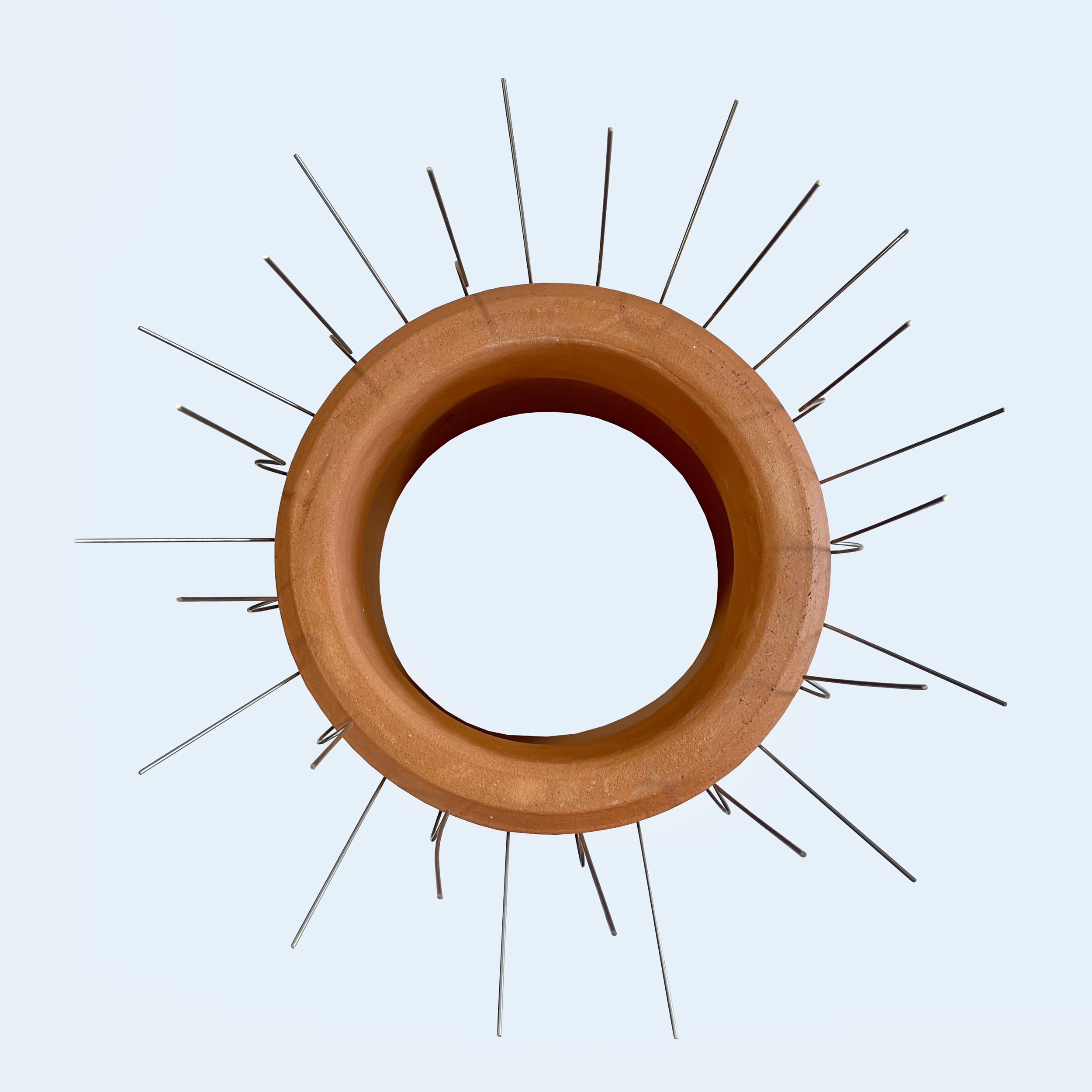 Chimney Bird Deterrent Spike EnviroGuard