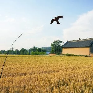 Hawk Kite Bird Scarer Spares