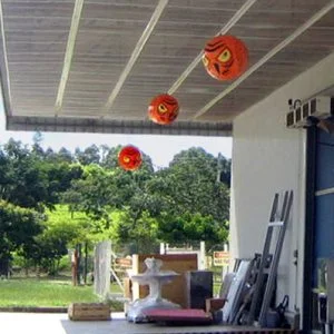 Terror Eyes, Inflatable Bird Repeller