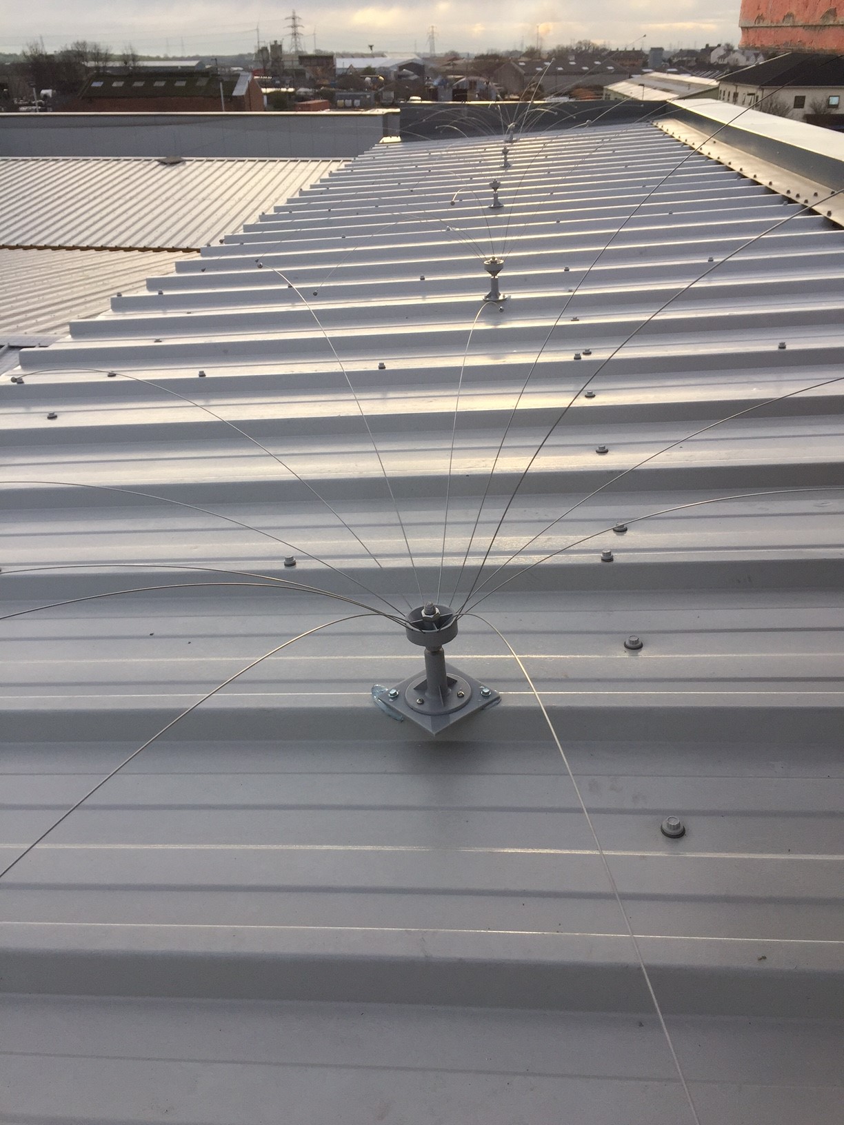 Daddi Long Legs Bird Deterrent Rotating Bird Spider 1.8m EnviroGuard Daddi Long Legs Bird Deterrent Rotating Bird Spider 1.8m EnviroGuard