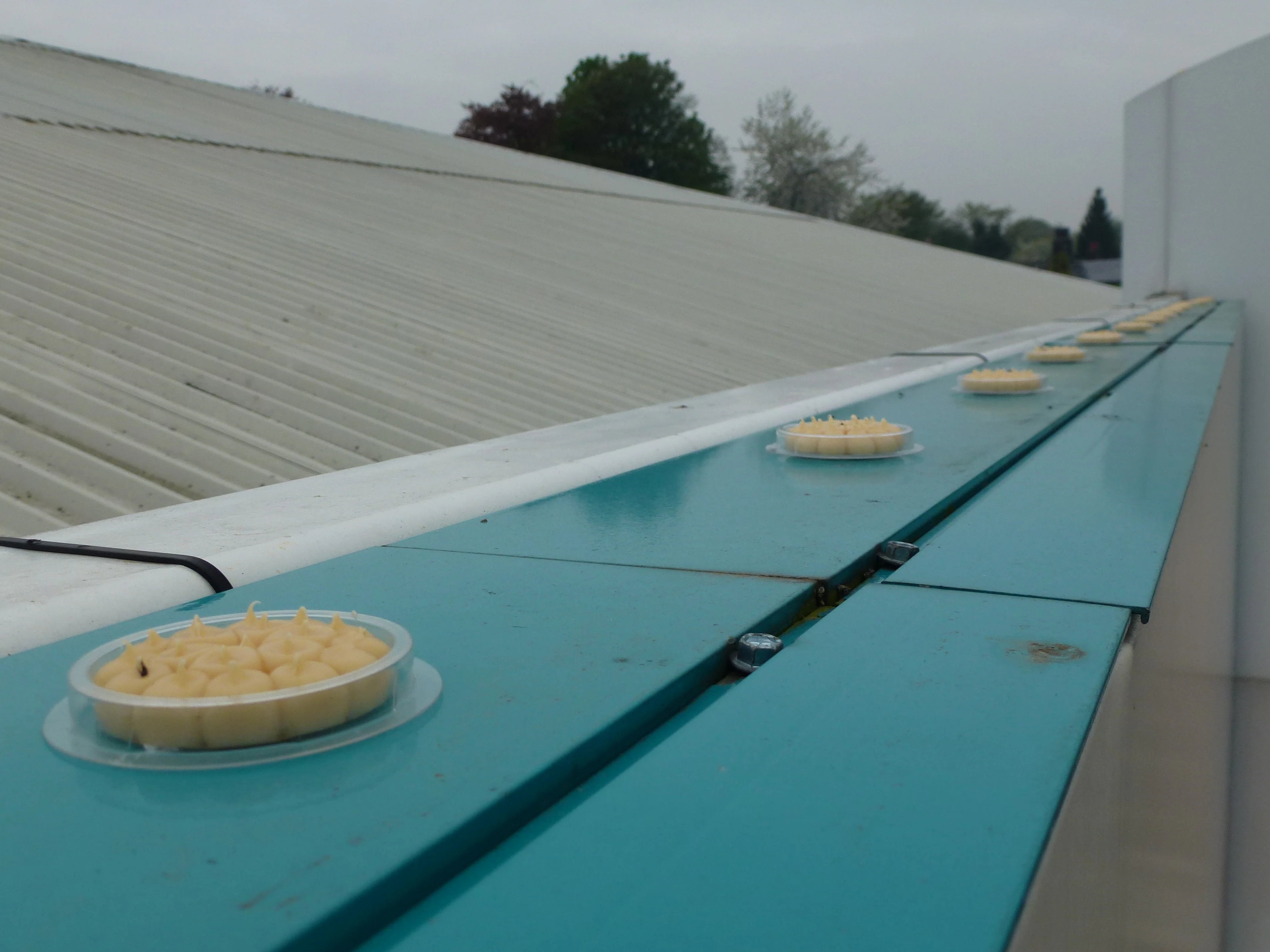 Killgerm Chemicals Ready Made Bird Free Fire Gel 15 x Trays EnviroGuard